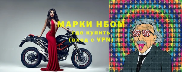 крисы Вязьма